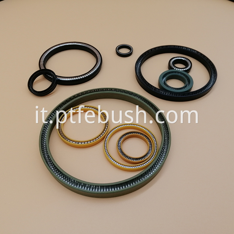 Spring Energized Seal 19